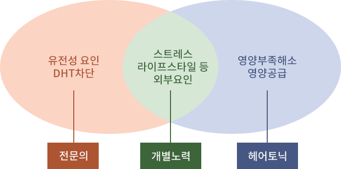 DHT DHT차단과 영양공급이 탈모치료의 핵심!